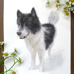 Load image into Gallery viewer, Watercolour pet portrait painting commissions
