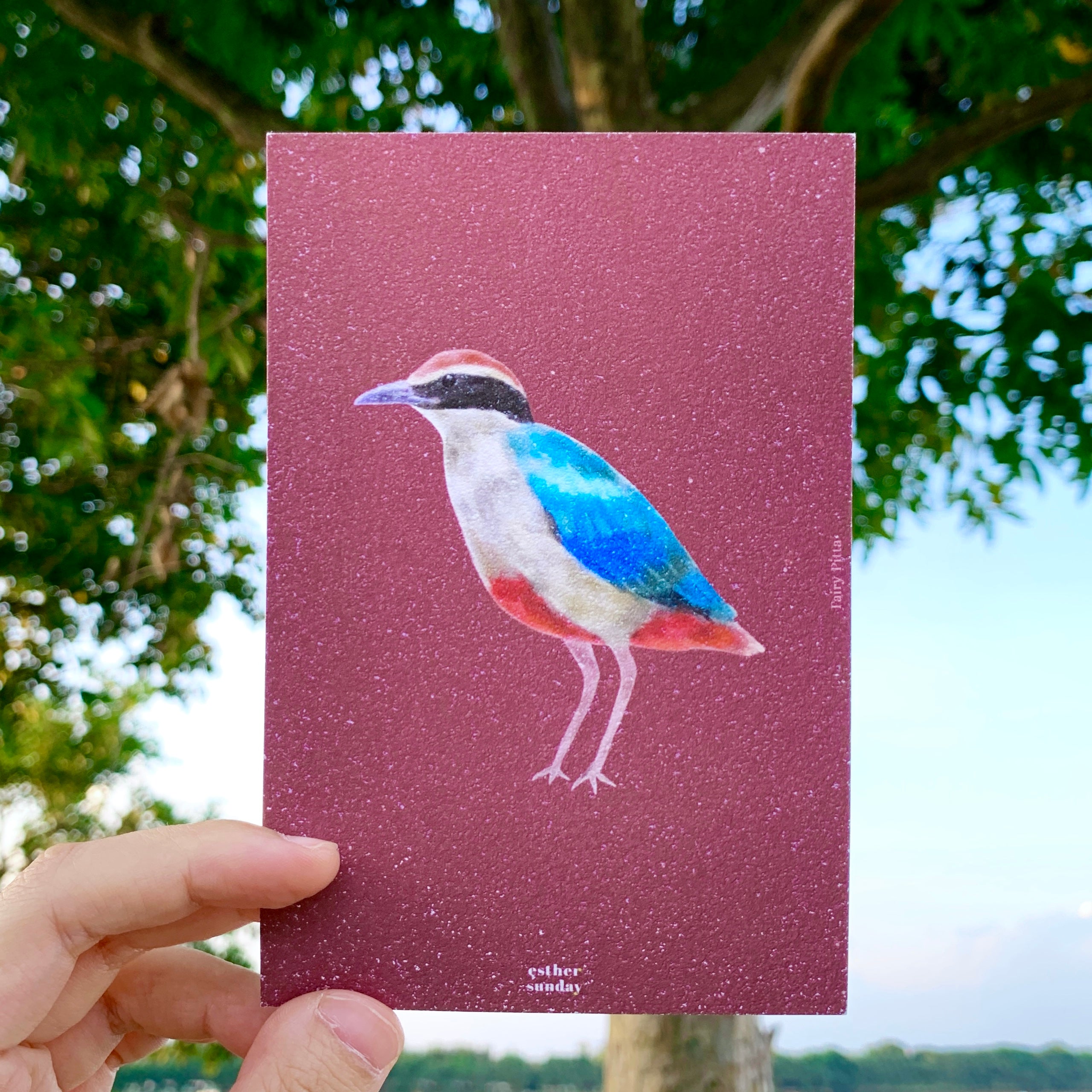 SG Birdtizens Postcards