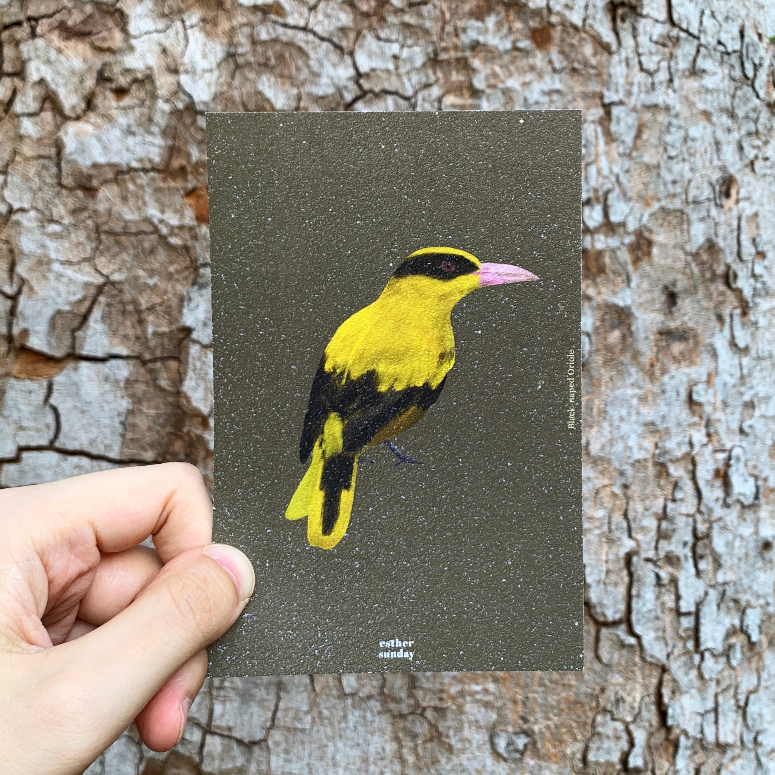 SG Birdtizens Postcards