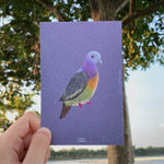 Load image into Gallery viewer, SG Birdtizens Postcards
