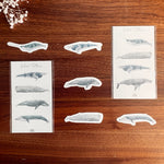 Load image into Gallery viewer, Deep Dwellings Whale Tattoos
