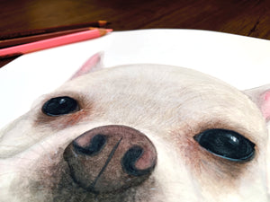 Watercolour pet portrait painting commissions